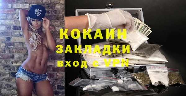 гидропоника Ельня
