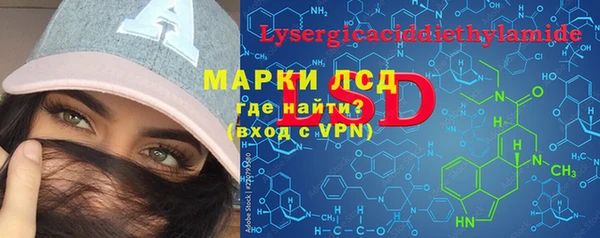 тгк Алзамай