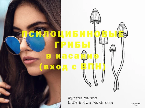 тгк Алзамай