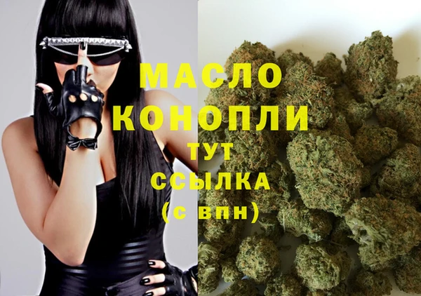 тгк Алзамай