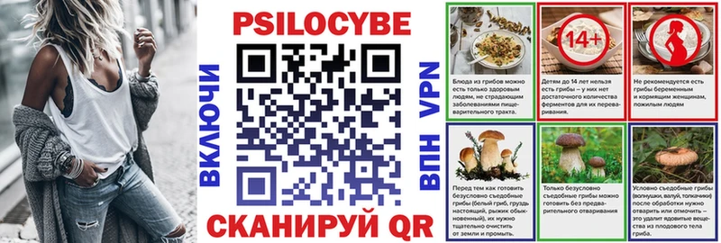 Галлюциногенные грибы GOLDEN TEACHER  где купить наркоту  Дыгулыбгей 